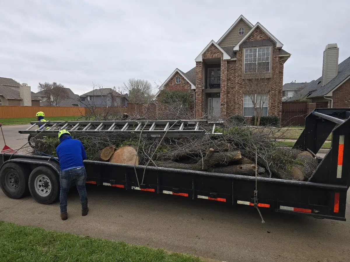 Expert Tree Fertilization with proper safety equipment in Dixon